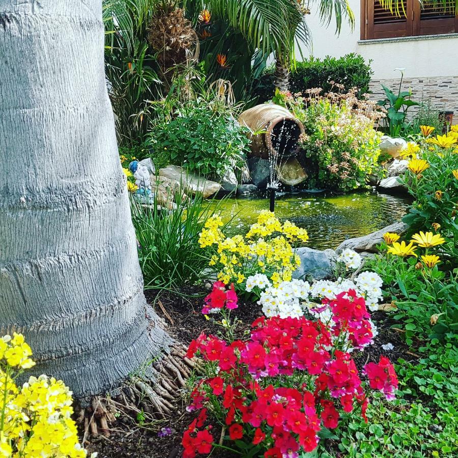 Mariposa B&B San Vito Lo Capo Extérieur photo